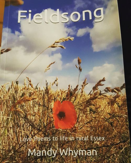 Fieldsong by Mandy Whyman - book cover of fields in Essex with poppy